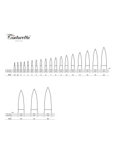 PENNELLO TINTORETTO IN PELO... 2