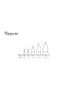 PENNELLO TINTORETTO IN... 2