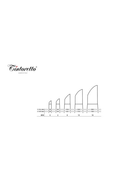 PENNELLO TINTORETTO IN SILICONE A TAGLIO ANGOLARE SERIE 610