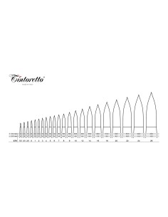 PENNELLO TINTORETTO... 2