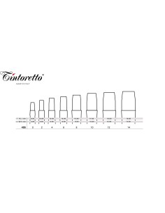 PENNELLO TINTORETTO IN PELO... 2