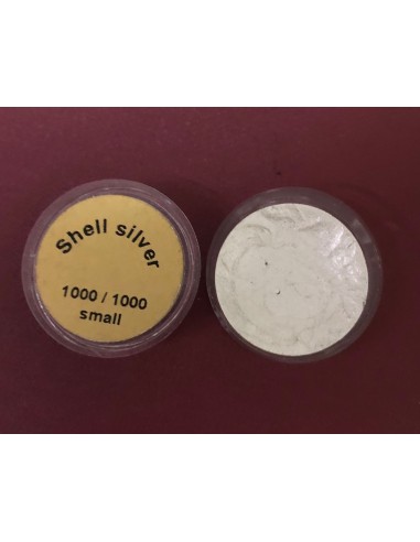 ARGENTO IN CONCHIGLIA SMALL