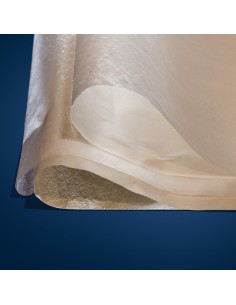 CARTA GIAPPONESE TENGUJO...