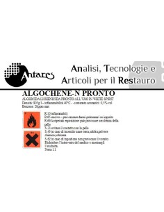 BIOCIDA ALGOCHENE PRONTO WS