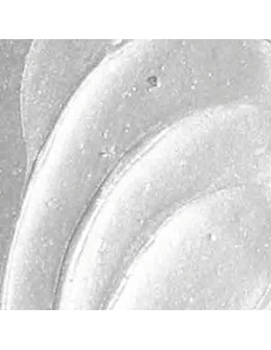 COLORE ACRILICO POLYCOLOR BODY MAIMERI