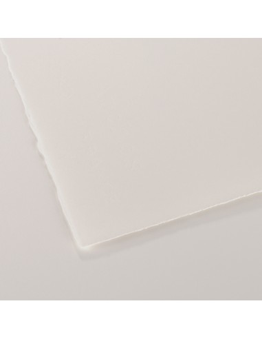 FOGLI ARCHES 100% COTONE SATINATI