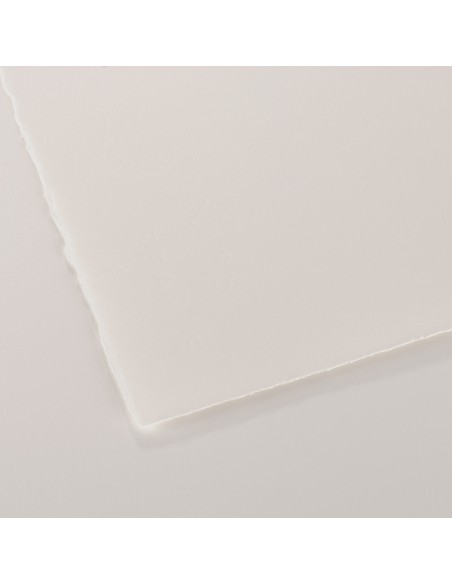 FOGLI ARCHES 100% COTONE SATINATI