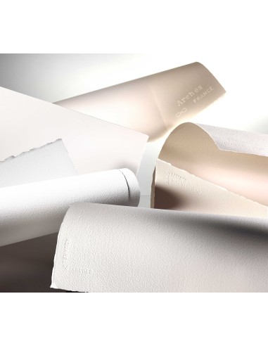 FOGLI ARCHES 100% COTONE SATINATI