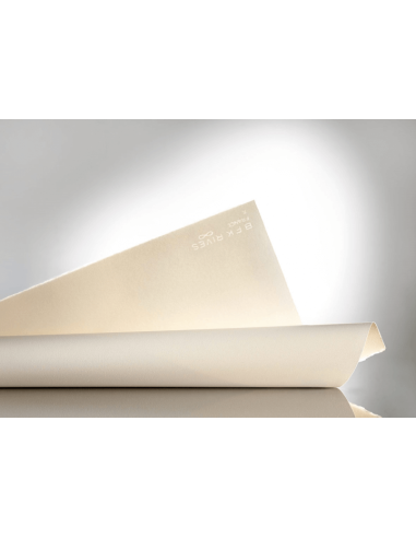 FOGLI ARCHES 100% COTONE VELIN BFK RIVES