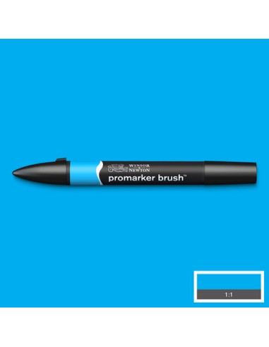 PENNARELLI PROMARKER BRUSH WINSOR &...