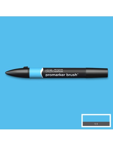PENNARELLI PROMARKER BRUSH WINSOR &...