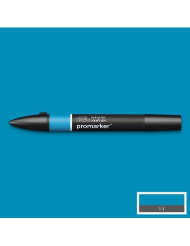 PENNARELLI PROMARKER WINSOR & NEWTON