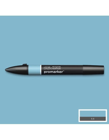 PENNARELLI PROMARKER WINSOR & NEWTON