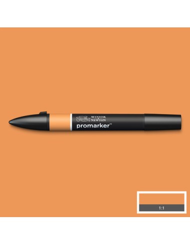 PENNARELLI PROMARKER WINSOR & NEWTON