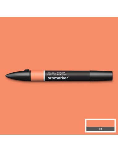PENNARELLI PROMARKER WINSOR & NEWTON