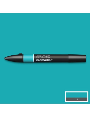 PENNARELLI PROMARKER WINSOR & NEWTON