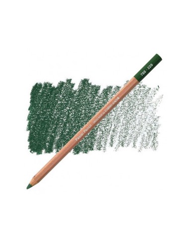 PASTEL PENCIL CARAN D'ACHE