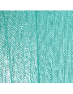 GLOSS VARNISH (VERNICE... 2