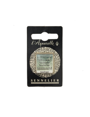 ACQUERELLO EXTRAFINE SENNELIER IN...