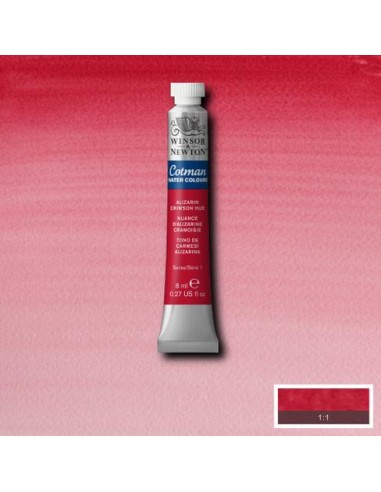 ACQUERELLO COTMAN WATER COLOR WINSOR...