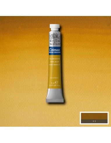 ACQUERELLO COTMAN WATER COLOR WINSOR...