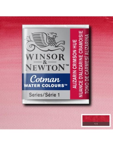 ACQUERELLO WINSOR & NEWTON COTMAN...