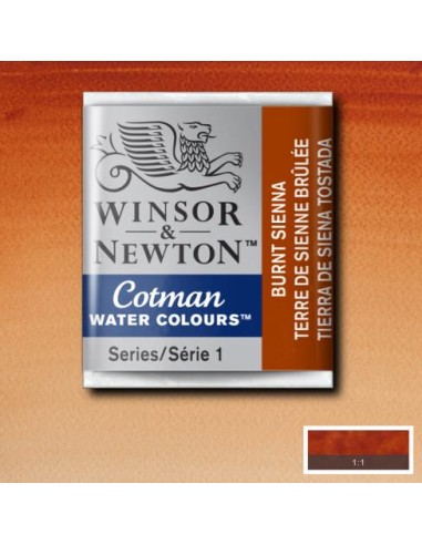 ACQUERELLO WINSOR & NEWTON COTMAN...