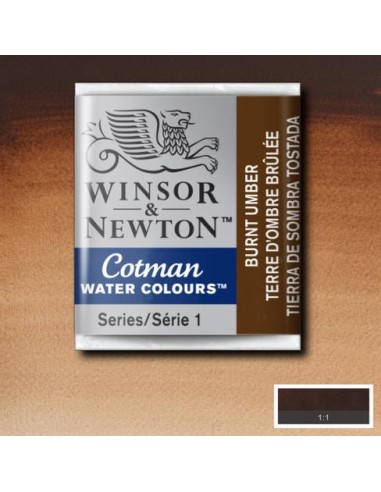 ACQUERELLO WINSOR & NEWTON COTMAN...