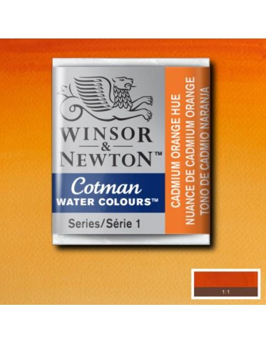 ACQUERELLO WINSOR & NEWTON COTMAN...