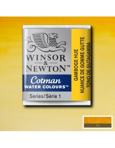 ACQUERELLO WINSOR & NEWTON COTMAN...