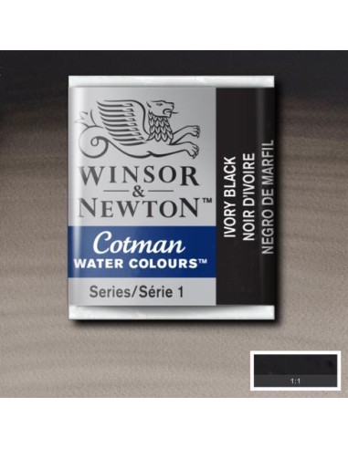 ACQUERELLO WINSOR & NEWTON COTMAN...