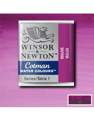 ACQUERELLO WINSOR & NEWTON COTMAN...