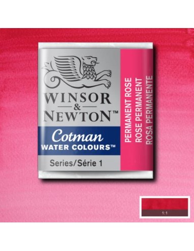 ACQUERELLO WINSOR & NEWTON COTMAN...