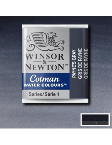 ACQUERELLO WINSOR & NEWTON COTMAN...