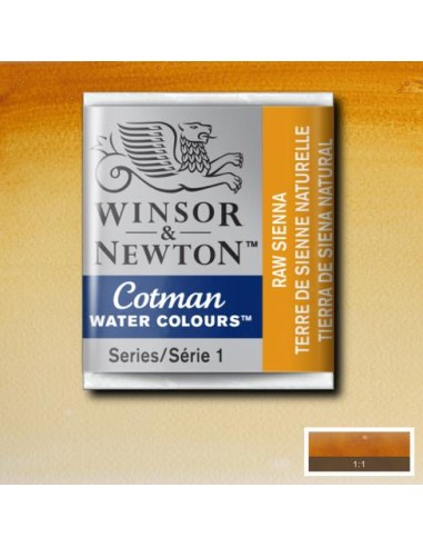 ACQUERELLO WINSOR & NEWTON COTMAN...