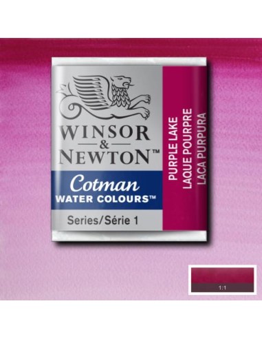 ACQUERELLO WINSOR & NEWTON COTMAN...