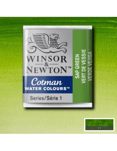 ACQUERELLO WINSOR & NEWTON COTMAN...