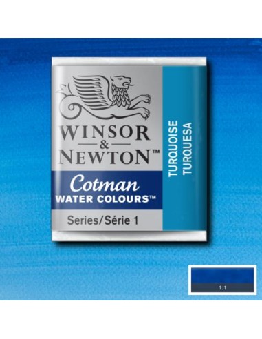 ACQUERELLO WINSOR & NEWTON COTMAN...