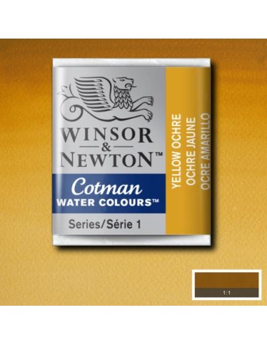 ACQUERELLO WINSOR & NEWTON COTMAN...