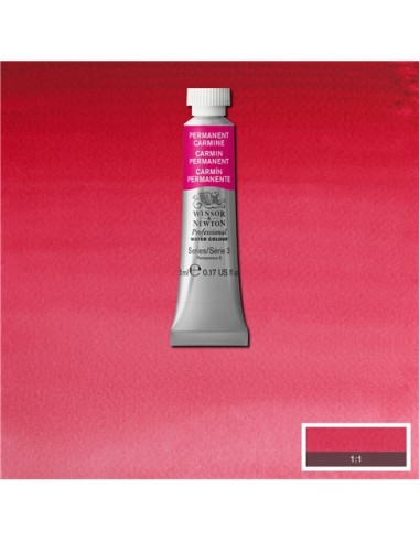 ACQUERELLO PROFESSIONAL WATER COLOR...