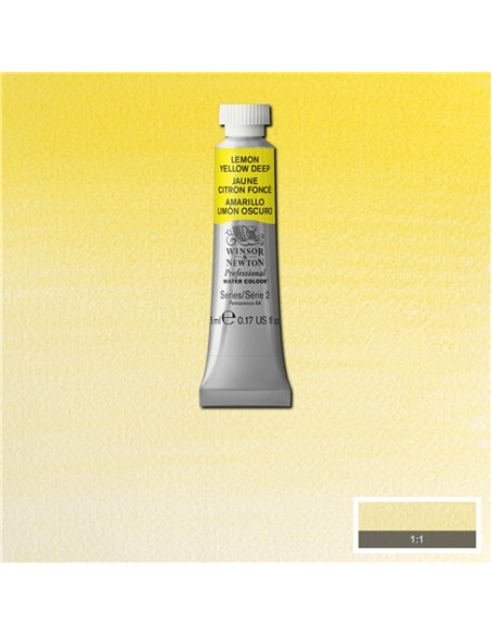 ACQUERELLO PROFESSIONAL WATER COLOR WINSOR & NEWTON