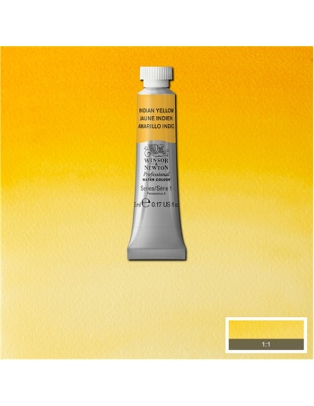 ACQUERELLO PROFESSIONAL WATER COLOR WINSOR & NEWTON