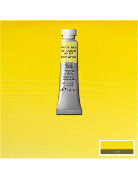 ACQUERELLO PROFESSIONAL WATER COLOR WINSOR & NEWTON