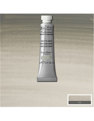 ACQUERELLO PROFESSIONAL WATER COLOR...