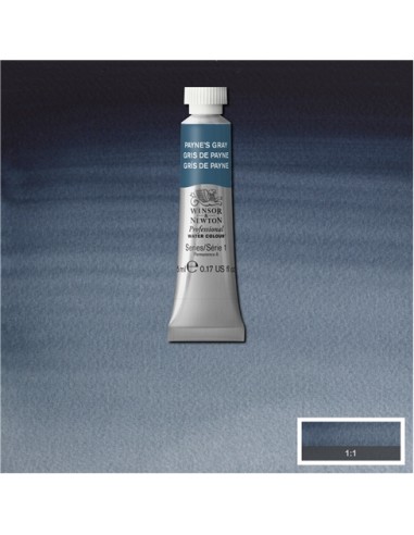 ACQUERELLO PROFESSIONAL WATER COLOR...