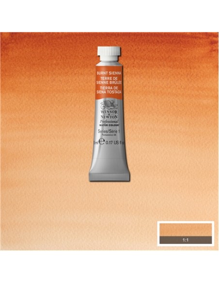 ACQUERELLO PROFESSIONAL WATER COLOR WINSOR & NEWTON