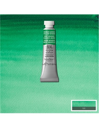 ACQUERELLO PROFESSIONAL WATER COLOR...