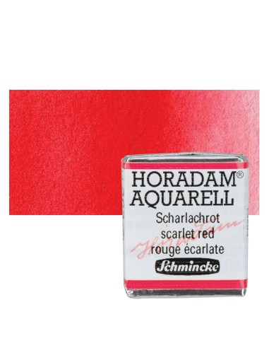 ACQUERELLO EXTRAFINE 1/2 GODET...