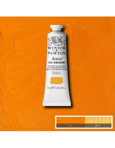 COLORE AD OLIO ARTISTS OIL COLOR...