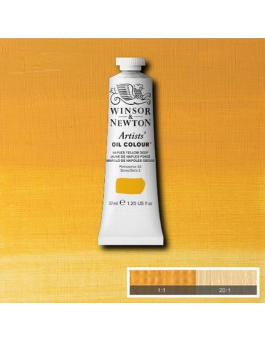 COLORE AD OLIO ARTISTS OIL COLOR...